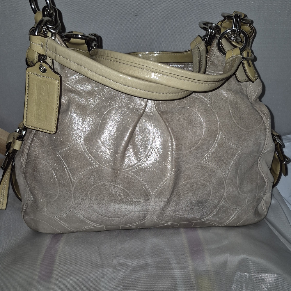 Coach Maggie Shimmer Hobo Bag - Picture 2 of 13